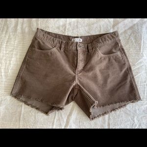 Carve designs Oahu shorts